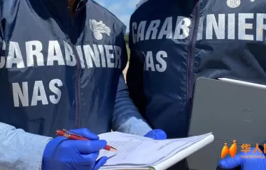 🐀“鼠”不可忍！比萨一中餐馆因鼠粪被查封